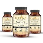 Khroma Herbal Products Warrior Organic Immunity Blend 