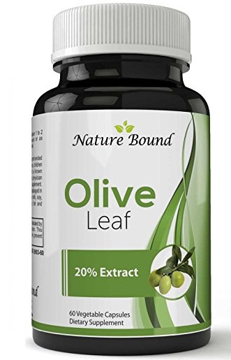 nature_bound_olive_leaf